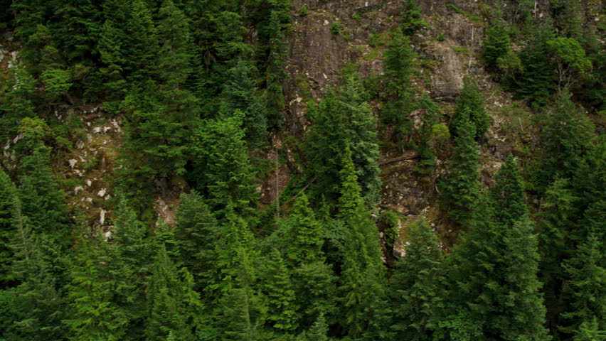 Aerial view steep forested mountainside mature evergreen trees, Rocky Mountains British Columbia, Canada, RED EPIC