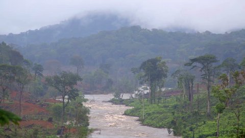 Floods after tropical rain in the jungles of Africa. Beautiful landscape. Equator. Equatorial  River hidden among the trees of wild tropical jungle. / Floods after tropical rain in jungles of Africa