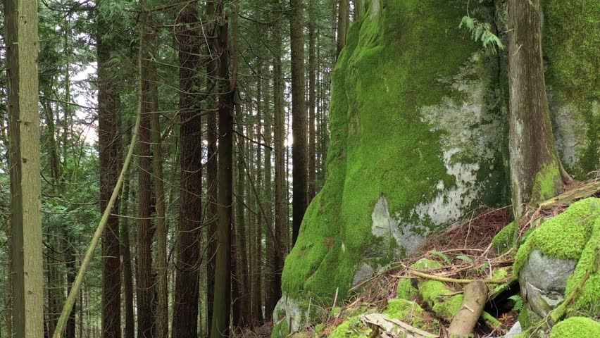 Aerial view at rocks in British Columbia, Canada. 4K.