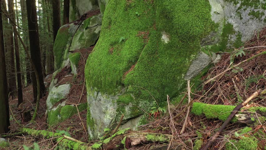 Aerial view at rocks in British Columbia, Canada. 4K.