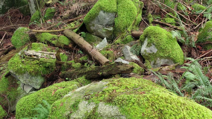 Aerial view at rocks in British Columbia, Canada. 4K.