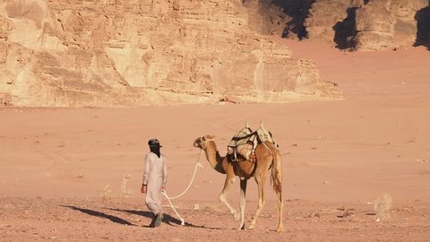 WADI RUM, AQABA GOVERNORATE, JORDAN - DECEMBER 5, 2018: Bedouin walking with his camel.