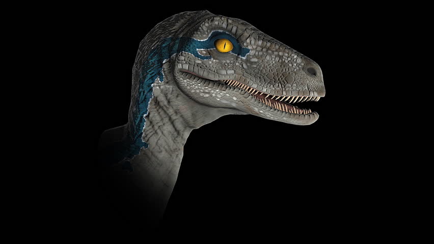 Velociraptor Blue 3d Model Animation Stock Footage Video 100 Royalty Free Shutterstock