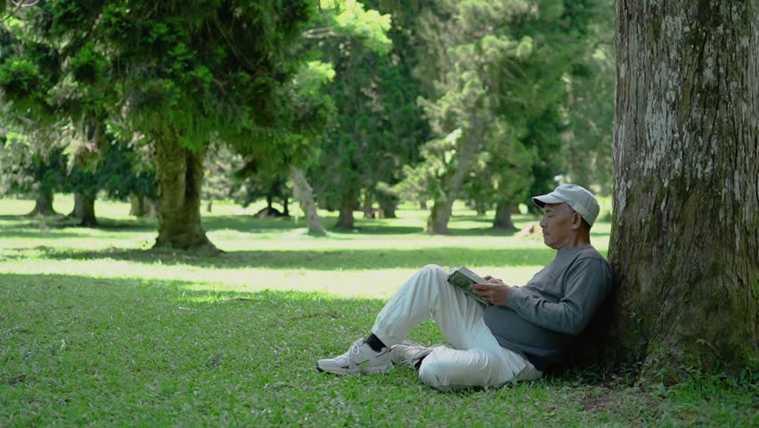 senior asian old man reading a book under the tree in the park