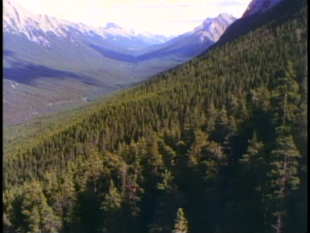 BANFF, ALBERTA, 1990, Gondola ride up Sulphur Mountain, POV, pine trees, firs