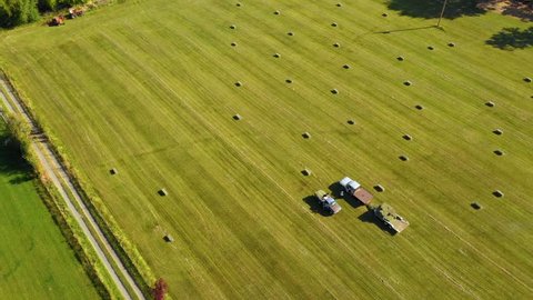 Aerial view of people harvest square bales in a field