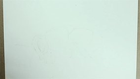 A hand draws a bee insect on a white board with a pencil,time lapse video