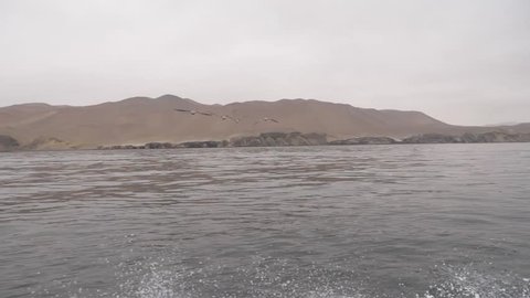 Peru Ballestas Islands
