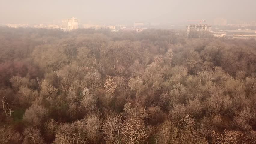 Flying over a concrete living apartment area in east Europa with many birds flying around the drone