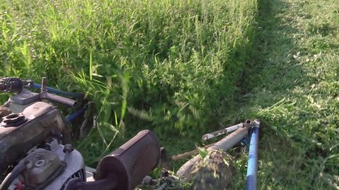 Grass mower working on the field in Bulgaria cutting alfalfa, slow motion