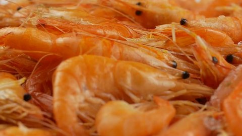 Стоковое видео: small pink shrimp close up