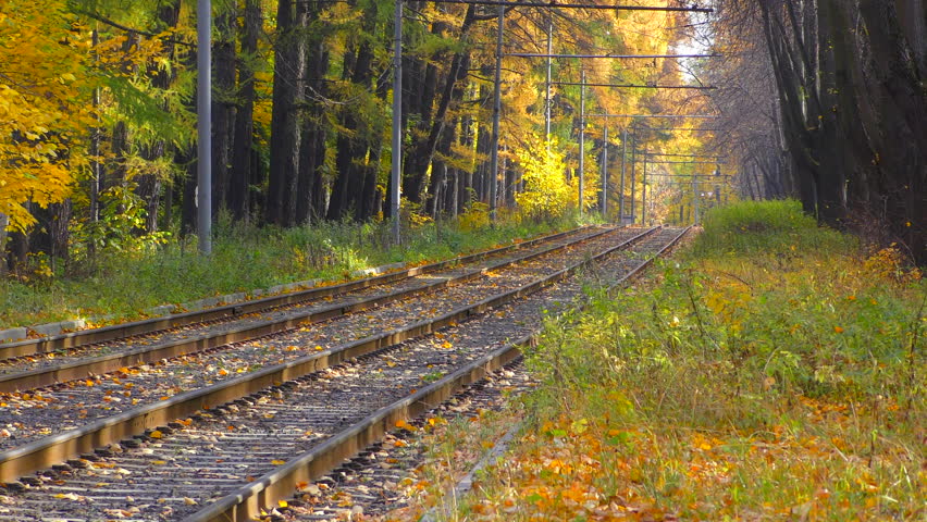 Yellow autumn leaves fall on the tram tracks in the city park.