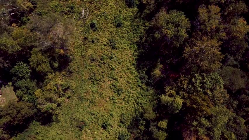 landscape pathway from drone