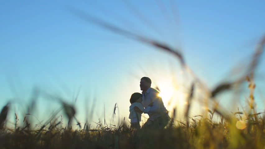 silhouette of father and son playing enjoying sunset in wheat field in nature on summer day. happy family walking outdoors. Little boy and father man having fun tossing up throwing son in air children Royalty-Free Stock Footage #1023362620