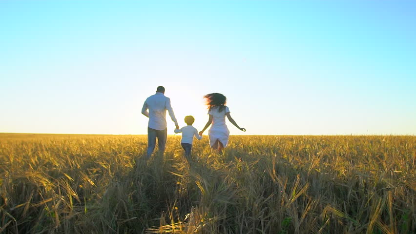 happy family outdoors running on wheat field with little boy. Mother, father and son kid child having fun on summer day, enjoying nature together. health love travel summertime happy holiday happiness Royalty-Free Stock Footage #1023362641
