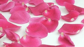 Beautiful Rose Petals is a stock video that displays stunning footage of numerous pink rose petals laid out on a white surface.
