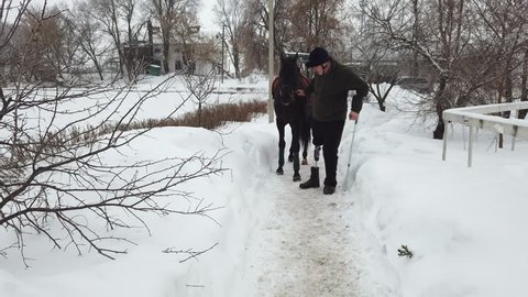 winter, there is a young disabled man on the way. he has a prosthesis instead of his right leg. he leads a black thoroughbred horse. concept of rehabilitation of the disabled with animals. equestrian