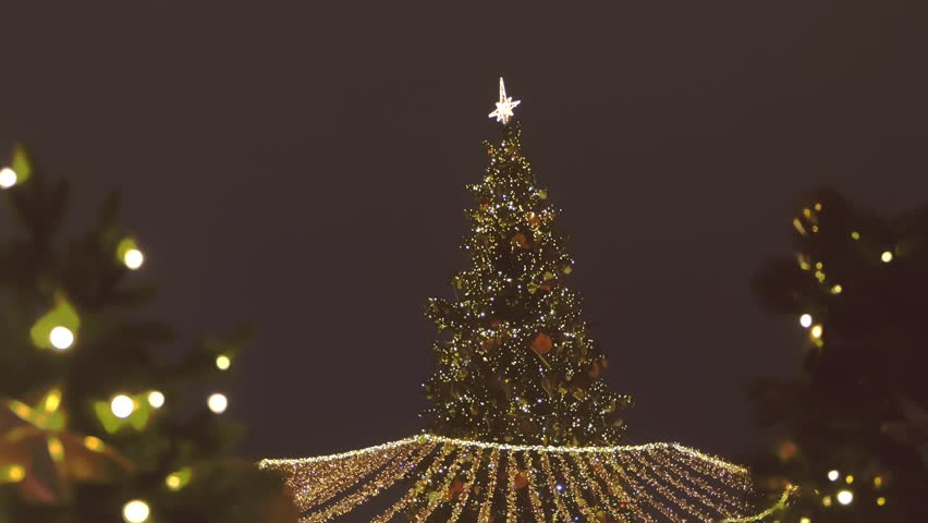 beautiful twinkling christmas tree square night Stock Footage Video ...