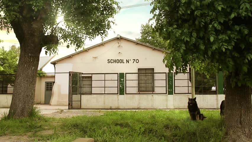 Dogs Resting on the Sidewalk Near a Vintage Rural School