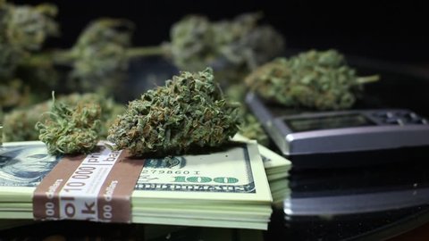 This stock video features a close-up shot of a stockpile of dry marijuana buds and dollar bills strewn on the table. The shot pans horizontally to reveal more buds and money. 