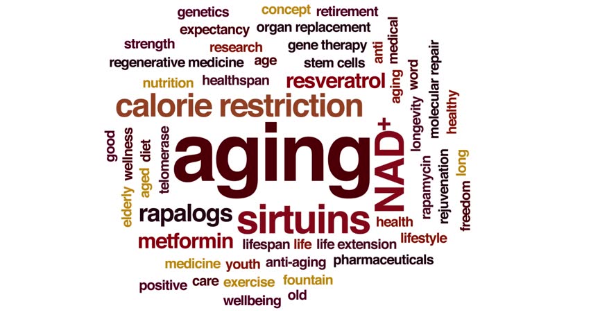 Aging animated word cloud. Kinetic typography. | Shutterstock HD Video #1023406690