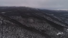 Aerial Snow Covered Trees Drone Footage Landscape Winter Nature. Shot. Snowy tree branch in a view of the winter forest. Winter landscape, forest, trees covered with frost, snow