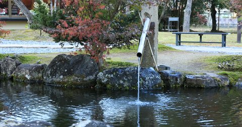 Japanese traditional garden at the park in autumn in Shizuoka Japan