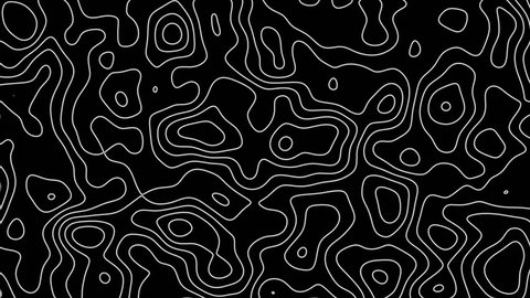 Seamless loop fractal lines background. Topographic map like abstract backdrop