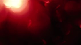 Abstract shapes, round defocused red elements flash on a black background. 4k video