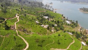 4K Aerial drone video on the Adam´s Peak Tea plantation on the Sri Lanka