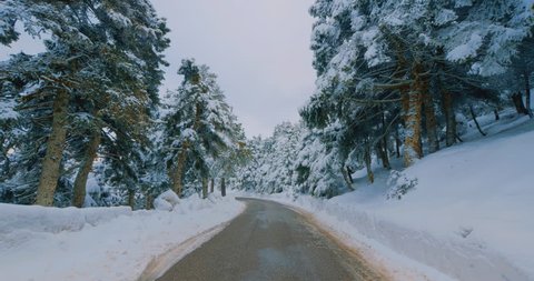 Driving on snow covered mountain forest road.Pov gimbal footage of driving on the road of a snow covered mountain forest on a winter day passing by fir trees covered in pure white snow.Original 10bit.