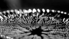 Ferrofluid. Black liquid surface. Abstract background. - Powered by Shutterstock - Get 15% off with code: PIKWIZARD15