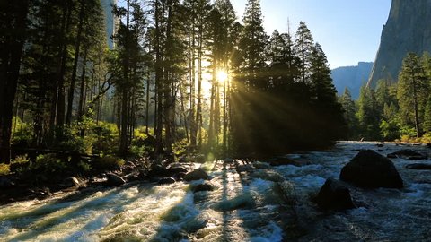 Beautiful morning shot of the Merced River in Yosemite.