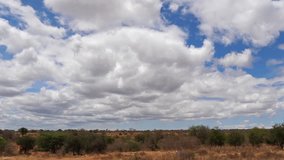 Savannah landscape in Tsavo Park, Sky with coulds, Kenya, Slow motion