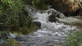 Waterfall at Mzima springs, Tsavo West Park in Kenya, slow motion