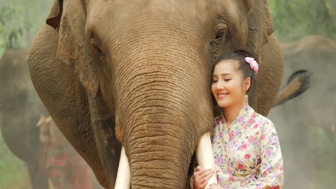 Tenderness of young attractive asian woman in traditional costume with elephant. Concept: love of animals, softness, and nature.