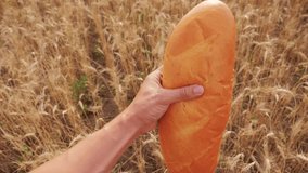 farmer holds bread first person view. man holds a bread loaf in a wheat field. slow motion video. successful agriculturist in field of wheat. lifestyle harvest time. bread baking vintage agriculture