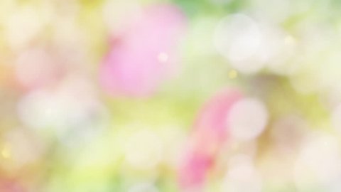 Abstract spring background with bokeh
