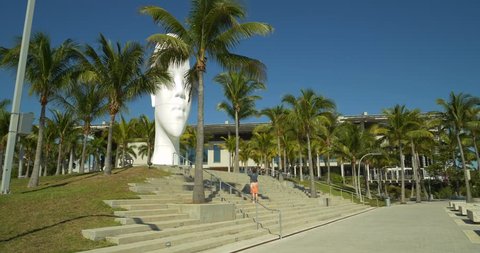 MIAMI, FL, USA - JANUARY 30, 2019: Looking Into My Dreams Awilda Museum Park Downtown Miami 4k 60p