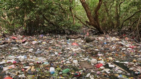 Huge Dump in Tropical Mangrove Tree Forest. Plastic Waste Rubbish Floating in Lake Water. Environmental Pollution Ecological Problem Concept. 4K. Bali, Indonesia.