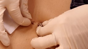 slow motion closeup piercing master in gloves puts gold sparkling belly button ring into navel fistula  - Powered by Shutterstock - Get 15% off with code: PIKWIZARD15