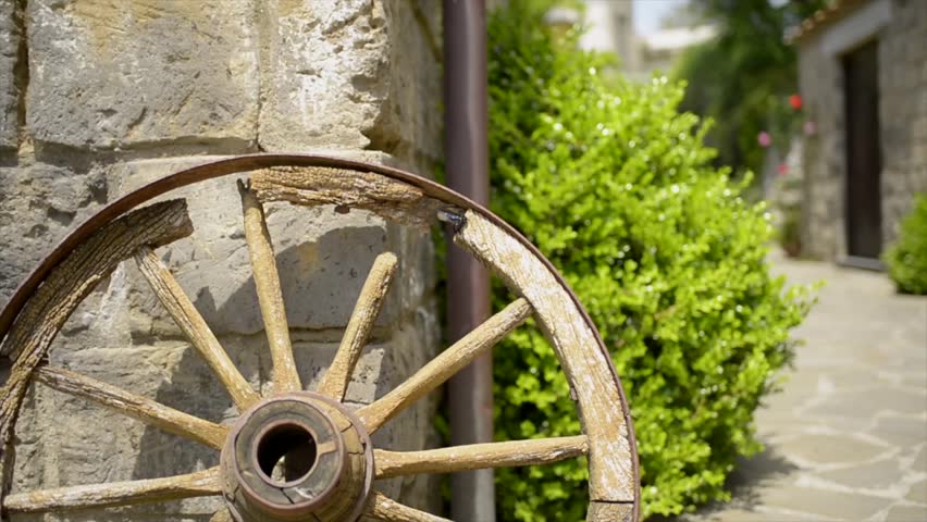 Broken wheel of a cart with a fly on it. A green street with plants and flowers int the background. 