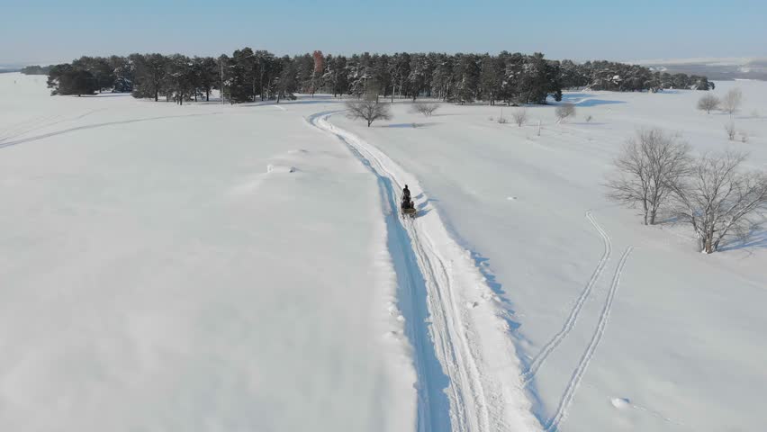 Horse pulling sleigh in winter. Old winter transport. Concept of hard working animals. Man sitting in wooden cart pulled by one horse.