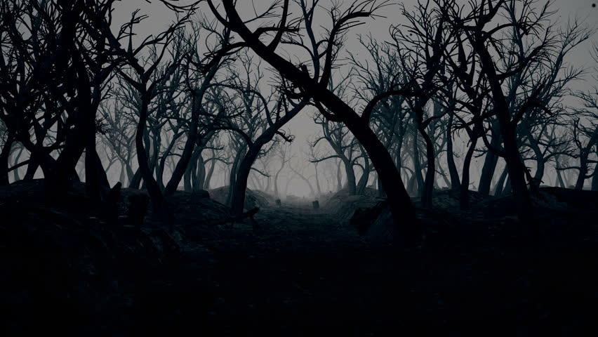Dark Forest In The Cycle