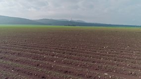 Aerial footage of a green wheat field in northern Israel