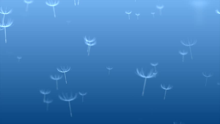 Abstract 3d dandelion plant seeds umbrella space particle design romance wind blowing art background | Shutterstock HD Video #1023625111