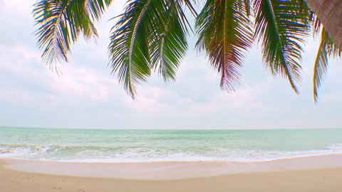 Peaceful scenery with tropical coconut palm against stormy azure sea on background. Landscape with exotic tree growing on beach with branches slightly swaying in breeze. Vacation on paradise island.