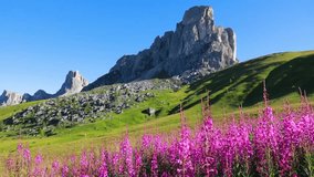 Great morning view of peak Ra Gusela, Averau - Nuvolau group from Passo di Giau. Sunny summer scene of Dolomiti Alps, Italy, Europe. Full HD video (High Definition).