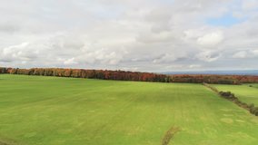 Aerial view of a grass field and maple tree forest full of fall color at Quebec, Canada