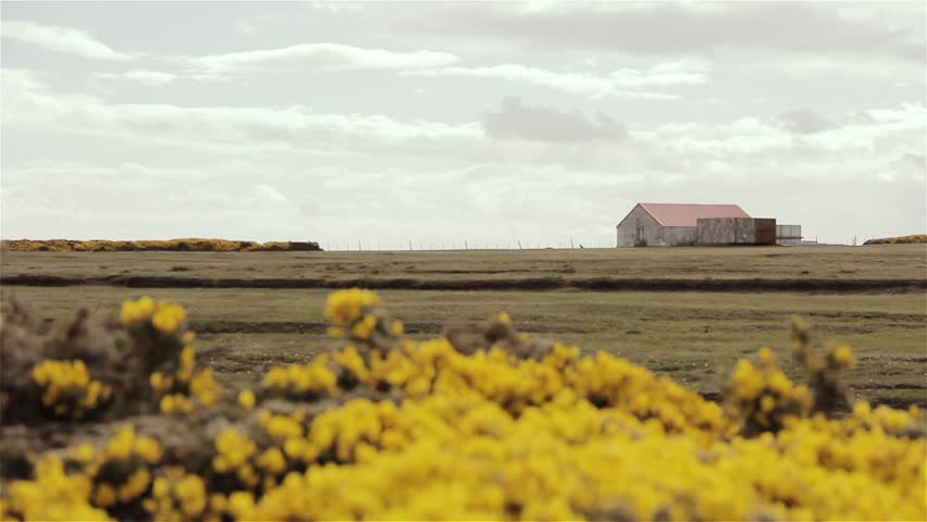 Goose Green in East Falkland, Falkland Islands (Islas Malvinas), South Atlantic.  